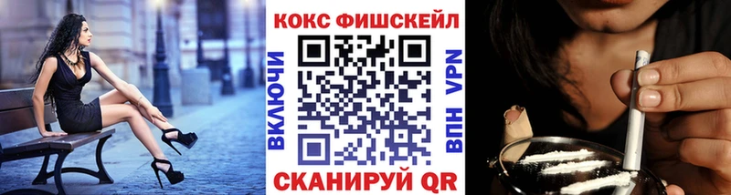Cocaine Fish Scale  omg зеркало  Холм  купить закладку 